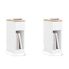 SoBuy FBT111-E-WNx2 Set di 2 Comodino Sottile con Presa di Ricarica, comodino Stretto con Presa Standard, Porta USB e Porta Type-C per Camera da Letto e Soggiorno, Bianco L20 x P35 x A60 cm