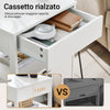 SoBuy FRG258-II-W Comodino Camera da Letto - Comodino con 2 Cassetti e 1 Ripiano, Tavolino Salotto - Moderna Cassettiera L45 x P38 x A55 cm Bianco