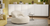 Nuova Poltrona SoBuy FST100: Comfort e Stile per i Tuoi Momenti di Relax