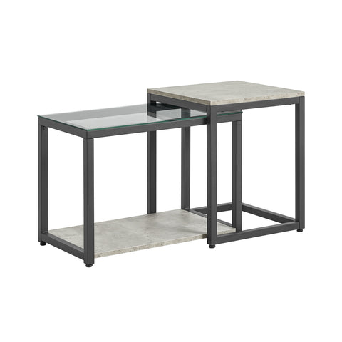 Sobuy Table Dova Doall Table Low Table 2 Pieces FBT35-Hg